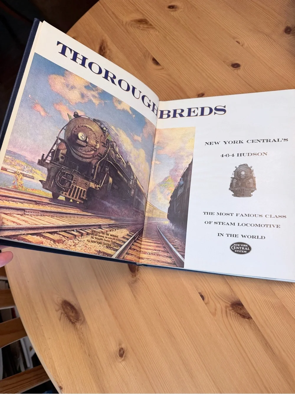 Thoroughbreds New York Central System
